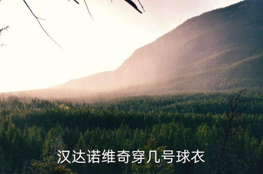 漢達諾維奇穿幾號球衣