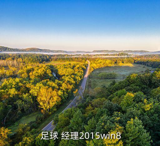 足球經(jīng)理安卓破解版,fm足球經(jīng)理安卓版破解版