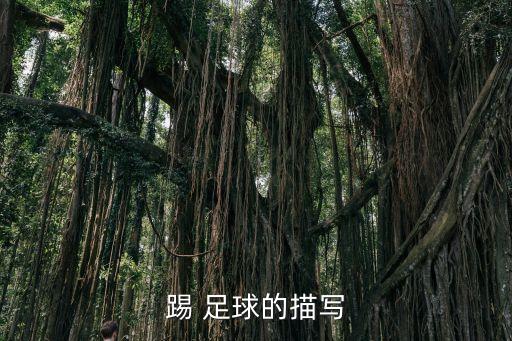勝利足球意大利,德國足球?yàn)槭裁磁乱獯罄? /></a><a href=