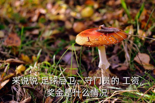 來說說 足球后衛(wèi)、守門員的 工資,獎金是什么情況