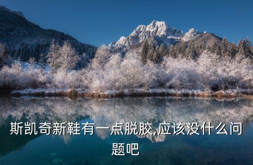 斯凱奇新鞋有一點(diǎn)脫膠,應(yīng)該沒(méi)什么問(wèn)題吧