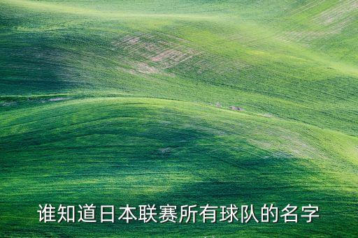 誰知道日本聯(lián)賽所有球隊的名字