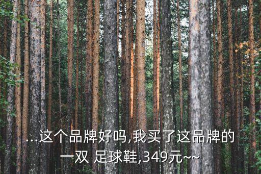 ...這個(gè)品牌好嗎,我買(mǎi)了這品牌的一雙 足球鞋,349元~~