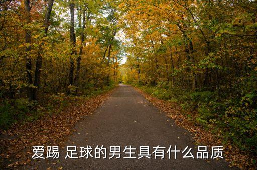 愛踢 足球的男生具有什么品質(zhì)