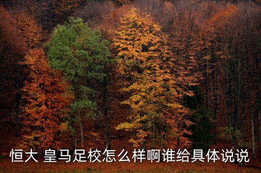 恒大 皇馬足校怎么樣啊誰給具體說說