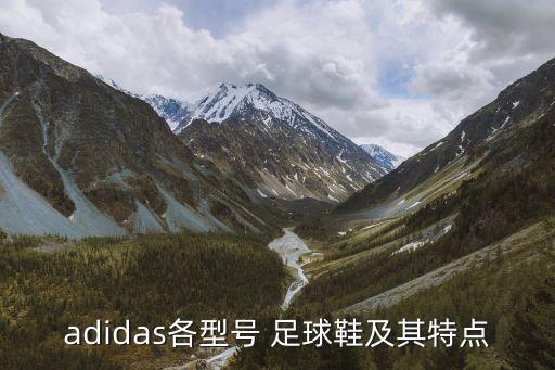 adidas各型號(hào) 足球鞋及其特點(diǎn)