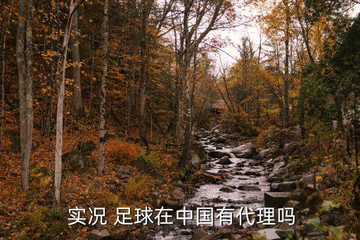  實(shí)況 足球在中國(guó)有代理嗎