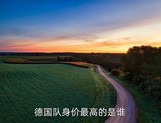 德國隊(duì)身價最高的是誰