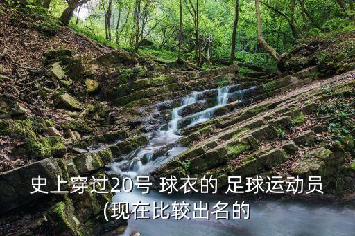 史上穿過20號 球衣的 足球運動員(現(xiàn)在比較出名的