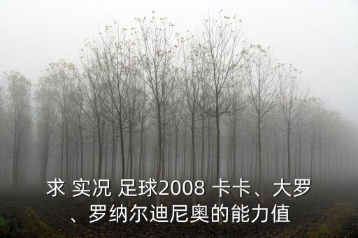 求 實(shí)況 足球2008 卡卡、大羅、羅納爾迪尼奧的能力值