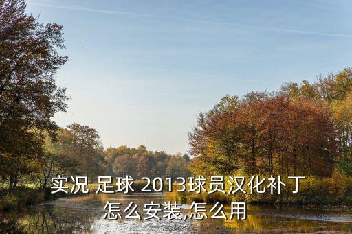 實況足球2013怎么設(shè)置中文解說
