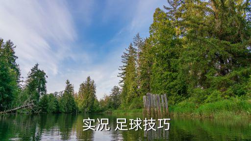  實況 足球技巧