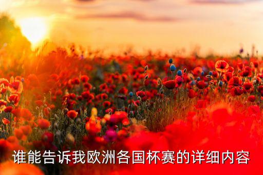 誰能告訴我歐洲各國杯賽的詳細內容