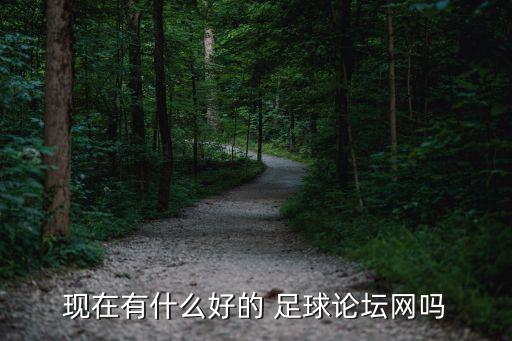 現(xiàn)在有什么好的 足球論壇網(wǎng)嗎