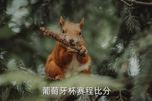  葡萄牙杯賽程比分