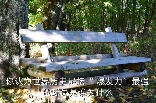 爆發(fā)力 足球,足球運動員爆發(fā)力訓練