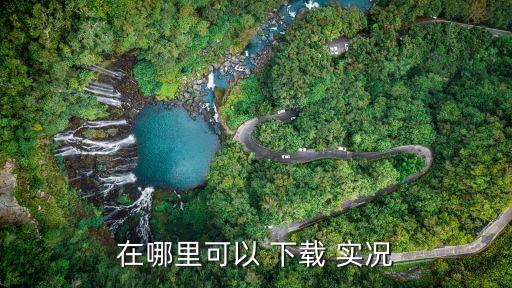 在哪里可以 下載 實(shí)況