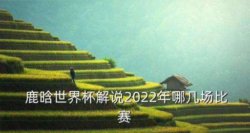  鹿晗世界杯解說(shuō)2022年哪幾場(chǎng)比賽