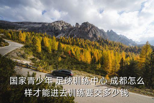 國家青少年 足球訓練中心 成都怎么樣才能進去訓練要交多少錢
