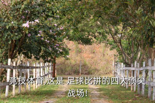 都靈足球俱樂(lè)部排名