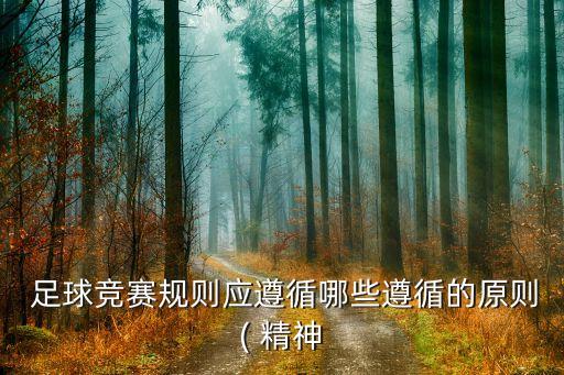  足球競賽規(guī)則應遵循哪些遵循的原則( 精神