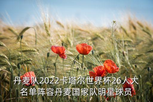 丹麥隊2022卡塔爾世界杯26人大名單陣容丹麥國家隊明星球員