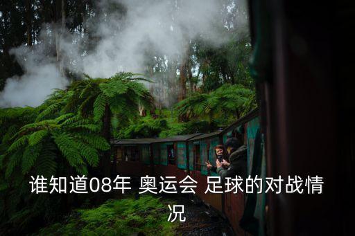 誰知道08年 奧運(yùn)會 足球的對戰(zhàn)情況