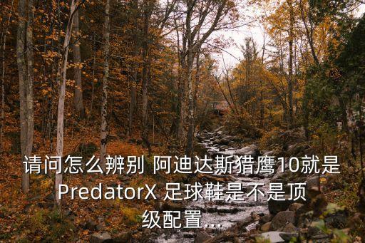 請問怎么辨別 阿迪達斯獵鷹10就是PredatorX 足球鞋是不是頂級配置...