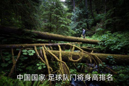 中國國家 足球隊(duì)門將身高排名