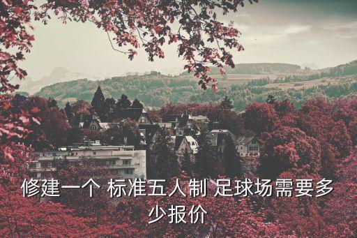 修建一個(gè) 標(biāo)準(zhǔn)五人制 足球場(chǎng)需要多少報(bào)價(jià)