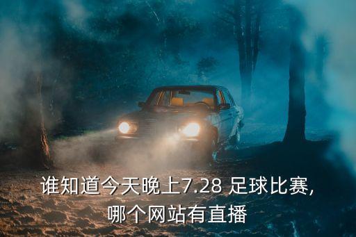 誰知道今天晚上7.28 足球比賽,哪個網(wǎng)站有直播