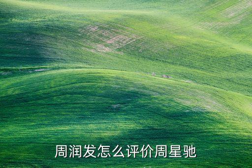 世界功夫足球基金會(huì)