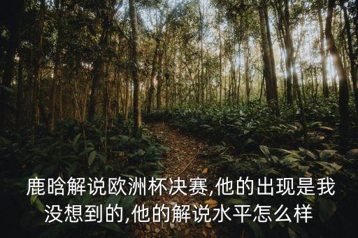  鹿晗解說(shuō)歐洲杯決賽,他的出現(xiàn)是我沒(méi)想到的,他的解說(shuō)水平怎么樣