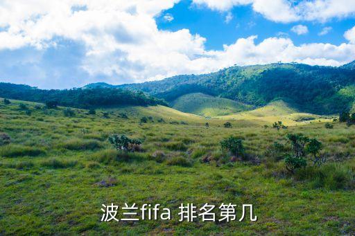  波蘭fifa 排名第幾