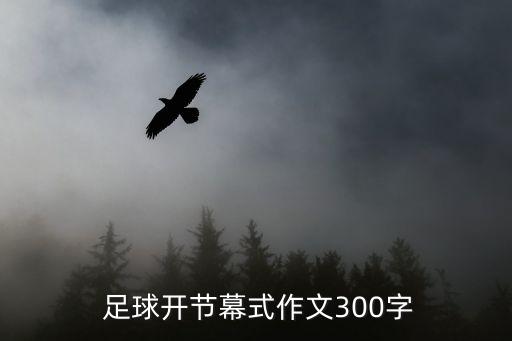足球方陣表演,運(yùn)動(dòng)會(huì)開幕式方陣表演