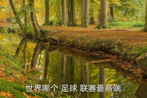 世界哪個(gè) 足球 聯(lián)賽最高端