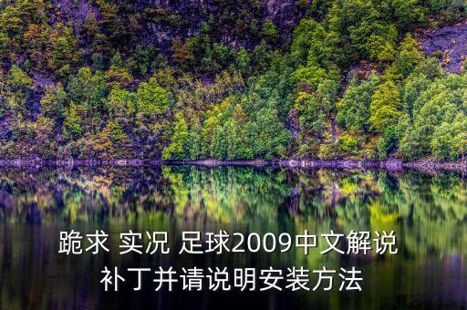 實(shí)況足球補(bǔ)丁安裝