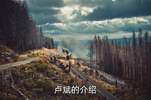 盧斌的介紹