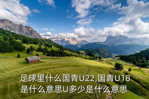  足球里什么國(guó)青U22,國(guó)青U18是什么意思U多少是什么意思