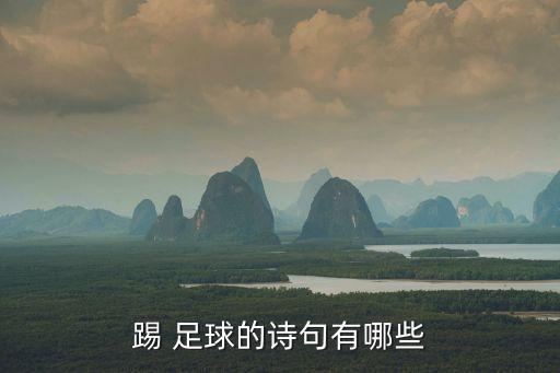 踢 足球的詩句有哪些