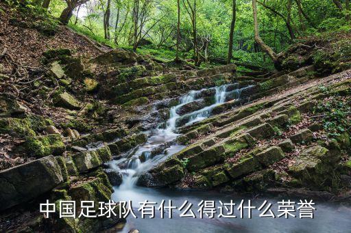  中國(guó)足球隊(duì)有什么得過什么榮譽(yù)