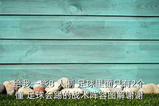 給我一些8 人制 足球里面只有2個(gè)懂 足球會(huì)踢的戰(zhàn)術(shù)陣容圖解謝謝