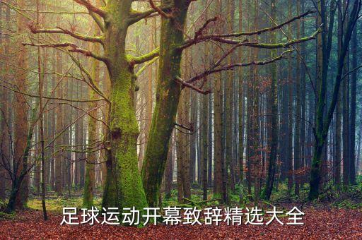 校園足球?qū)懡o家長(zhǎng)話,家長(zhǎng)對(duì)校園足球的看法和建議