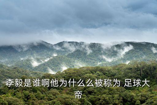 李毅是誰啊他為什么么被稱為 足球大帝