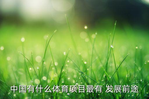 游戲發(fā)展國足球,談?wù)勎覈闱虬l(fā)展的問題
