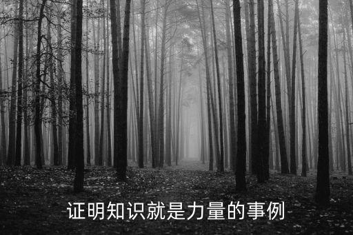 證明知識就是力量的事例