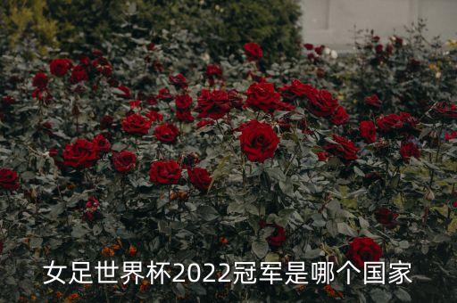 女足世界杯2022冠軍是哪個國家