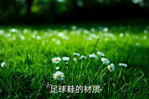 足球鞋寫16.3,雙星足球鞋