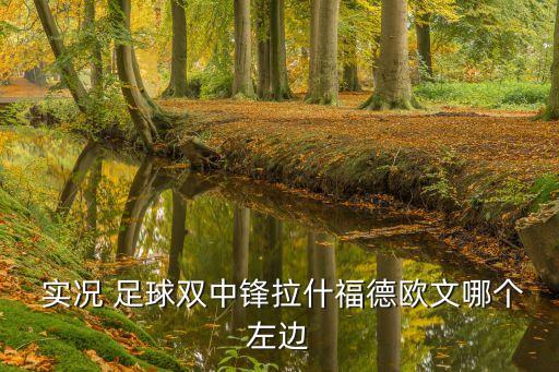  實(shí)況 足球雙中鋒拉什福德歐文哪個(gè)左邊