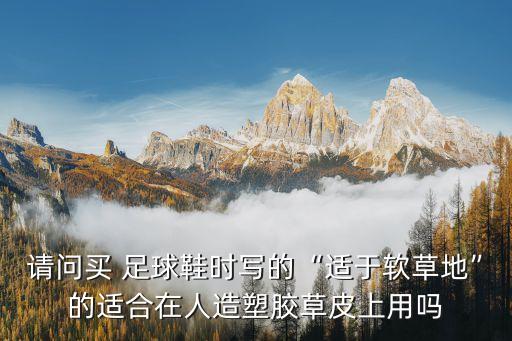 請(qǐng)問買 足球鞋時(shí)寫的“適于軟草地”的適合在人造塑膠草皮上用嗎